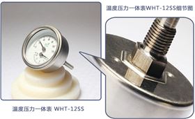 溫度計壓力表一體的儀表有嗎?