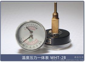 溫度壓力一體表
