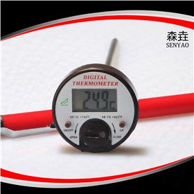 電子溫度計(jì) 電子溫度計(jì)