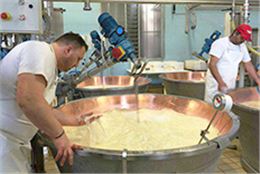 奶酪用數字顯示電子溫度計成功案例