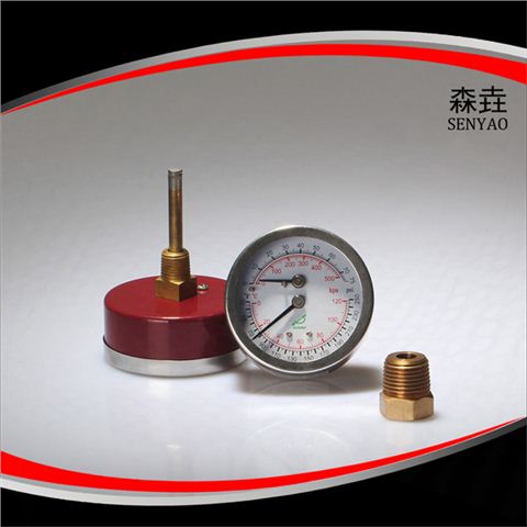 溫度壓力一體表