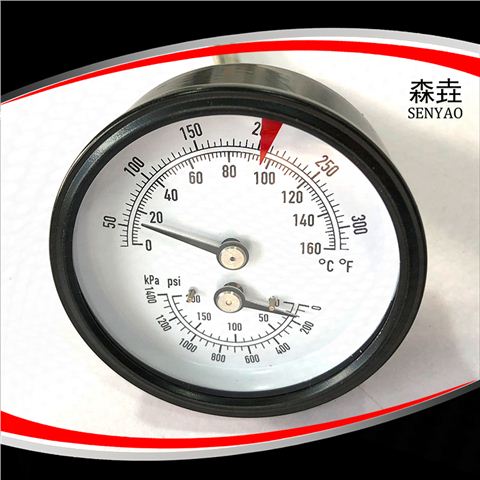 加長(zhǎng)型接頭溫度壓力一體表