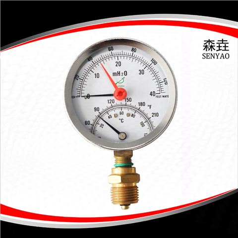 溫度壓力一體表