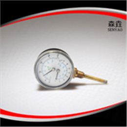 溫度壓力一體表 型號：WHT-1I