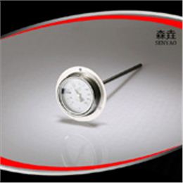帶后法蘭雙金屬溫度計(jì) 型號(hào)：T221F