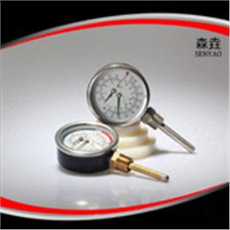 溫度壓力一體表  型號：WHT-7