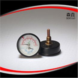 溫度壓力一體表  型號：WHT-12S