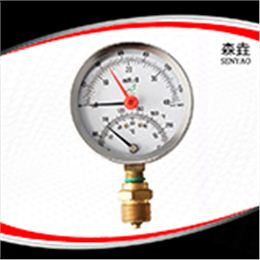 溫度壓力一體表  型號：WHT-20