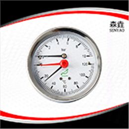 溫度壓力一體表  型號：WHT-20T