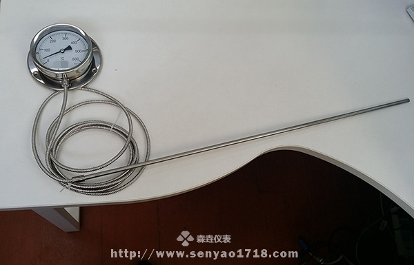 650mm感溫管壓力式溫度計(jì) (1).jpg