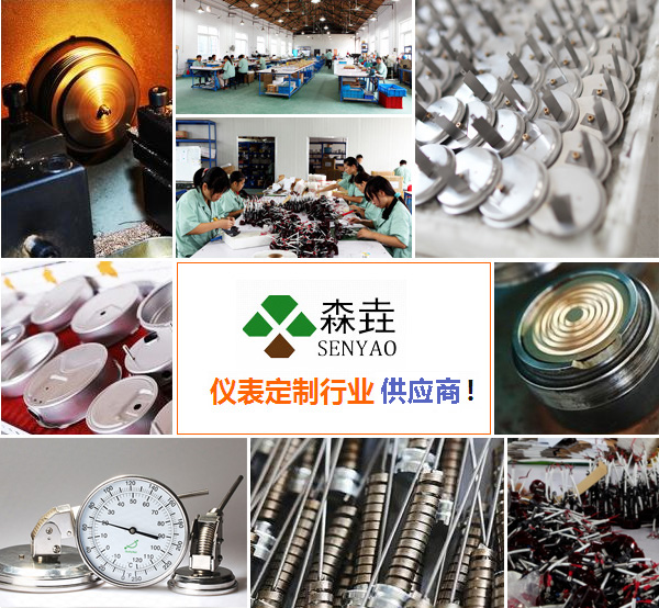 全不銹鋼溫度計主要應用于哪些行業？