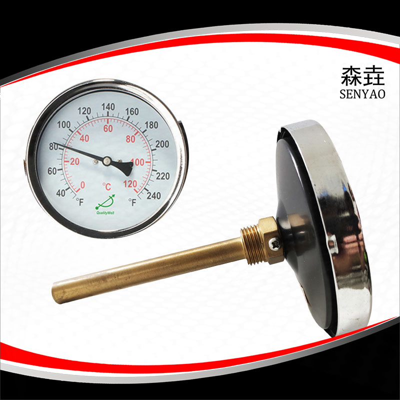 熱水爐雙金屬溫度計帶護套嗎？