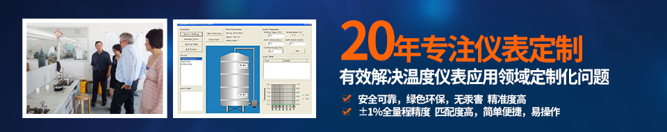 森垚20年專注儀表定制